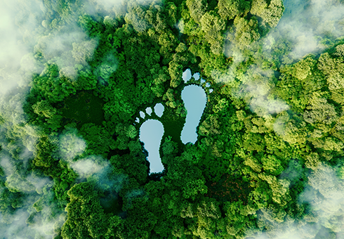 Klimaschutz und Dekarbonisierung